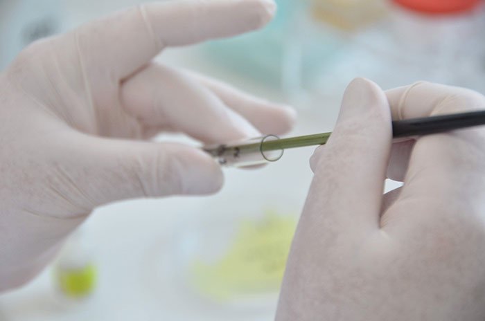 Ecstasy, posibil remediu contra cancerului 108039