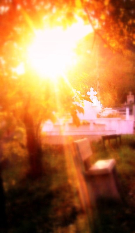 Vocaţia personală şi criza identitară 108153