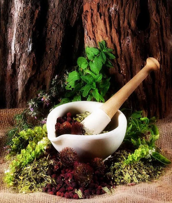 Zoofarmacognozia 108174