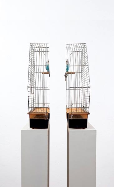 Ultima Revoluţie analogică are loc la Veneţia 108270