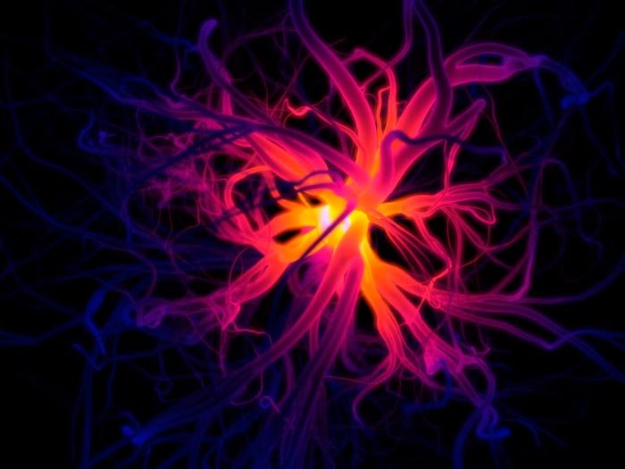 În noi se sălăşluieşte un univers întreg 108333