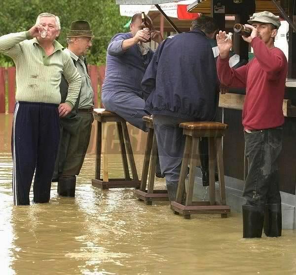 Un flagel generalizat 108362