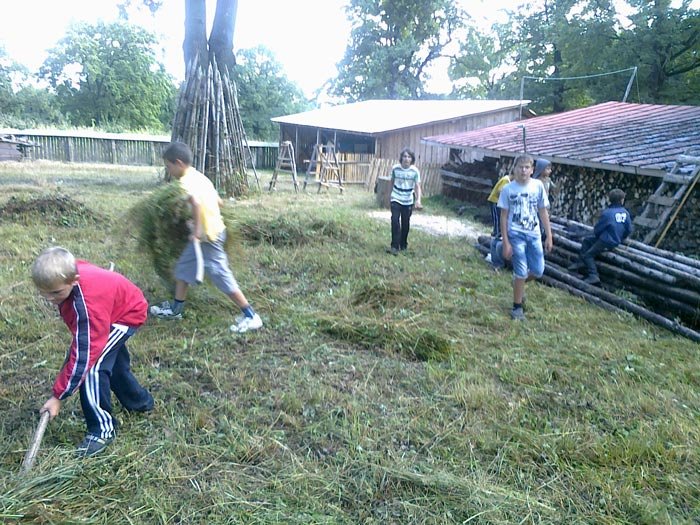 Tabără pentru copii la Schitul Cărbuna 108374