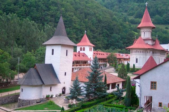 Din el a răsărit floarea monahismului transilvănean 108491