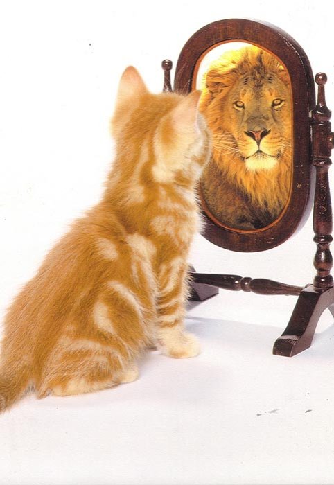 Stima de sine, cel mai important ingredient? 108605