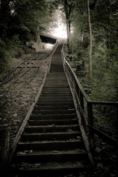 Trepte spre dobândirea bucuriei 108669