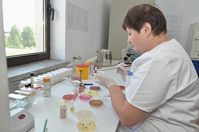 Microbi şi viruşi 108672