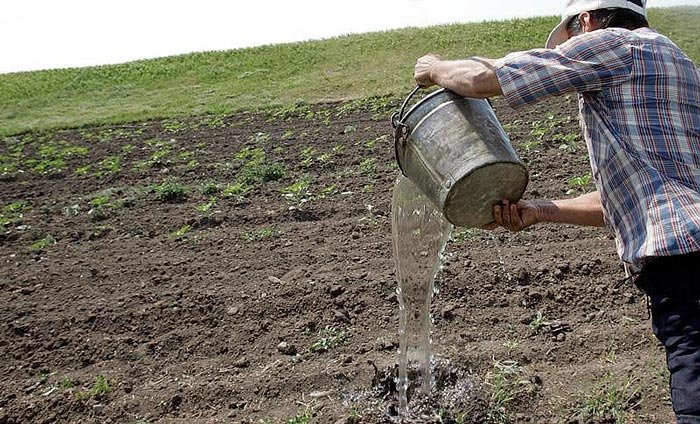 Seceta ne ameninţă din nou 108705