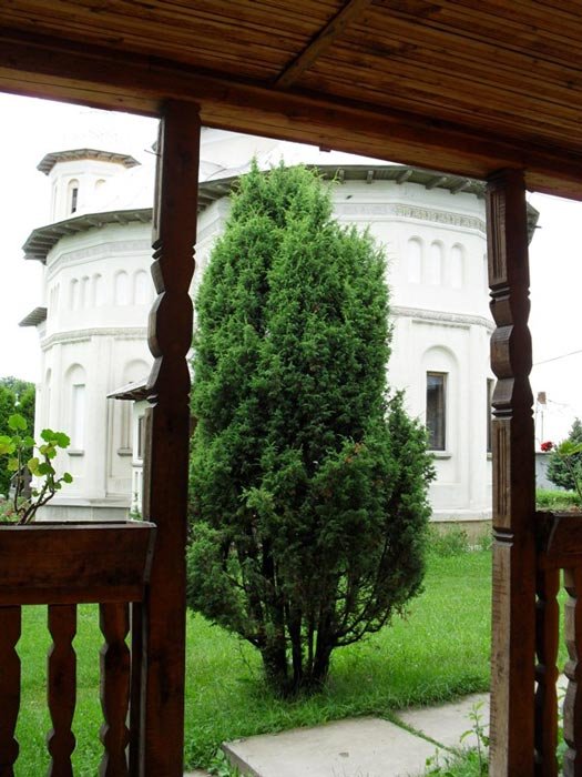 Interdisciplinaritatea, o provocare a timpului nostru 108804