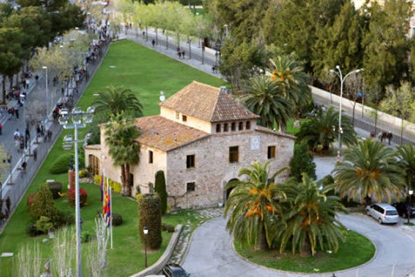 Decenţa de a fi campion 108845