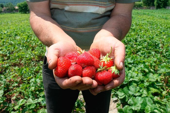 Soţii şi copiii românilor care lucrează pe cont propriu în Spania pot munci fără permis 108964