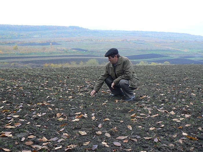 Fenomenul de secetă continuă să se accentueze 108989