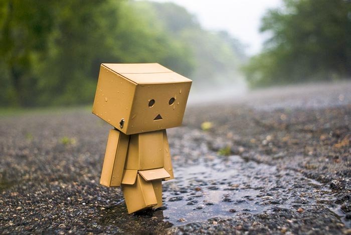 Inteligenţa socială 109064