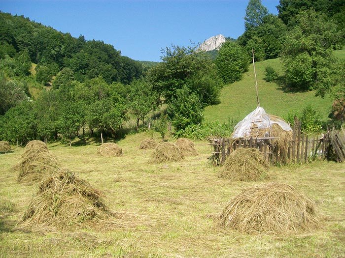 România de dincolo de vedere şi uitarea de bine 109063