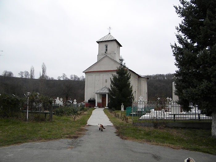 Hram la Mănăstirea Popânzăleşti 109248
