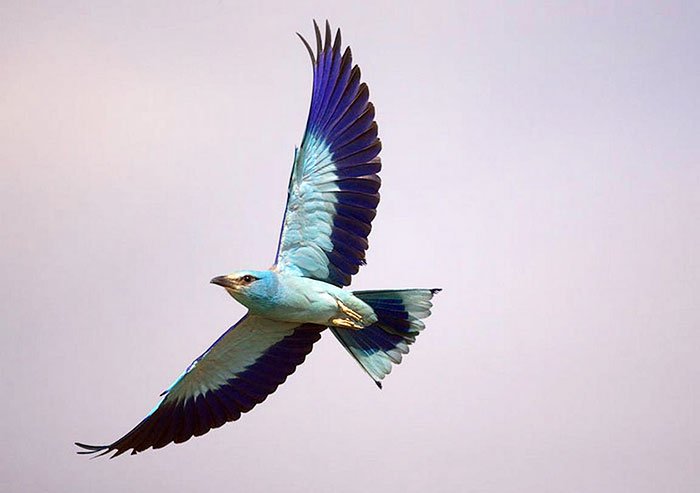 Credinţa şi faptele bune 109291