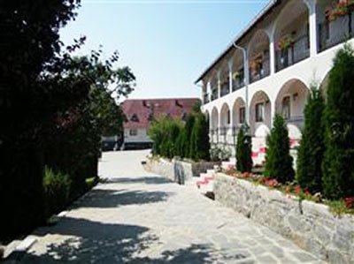 IPS Andrei în vizită la Mănăstirea Strâmba 109277