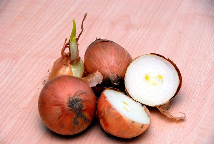 Cojile de ceapă, un rezervor de nutrienţi 109401