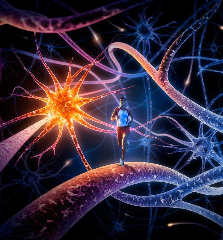 De la „autostrăzi“ neuronale la schimbarea experienţei de viaţă 109462