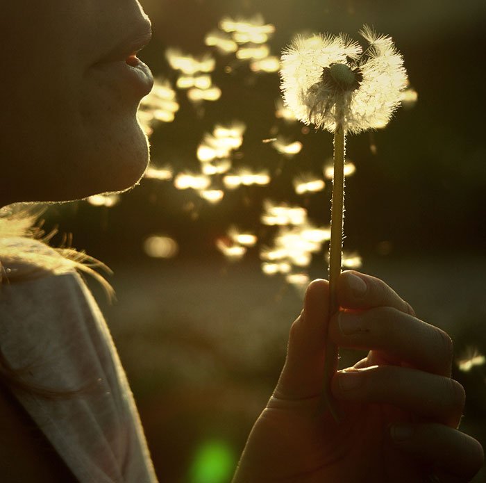 Cum putem contribui la vindecarea lumii 109786