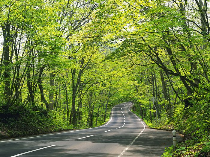 Bucuria teandrică şi soteriologică a cosmosului 109830