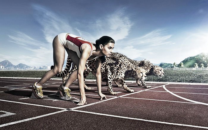 Viitor necompromis 110233