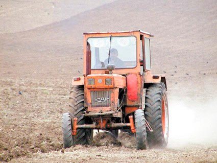 Termenul pentru plata rentei viagere, prelungit 110404