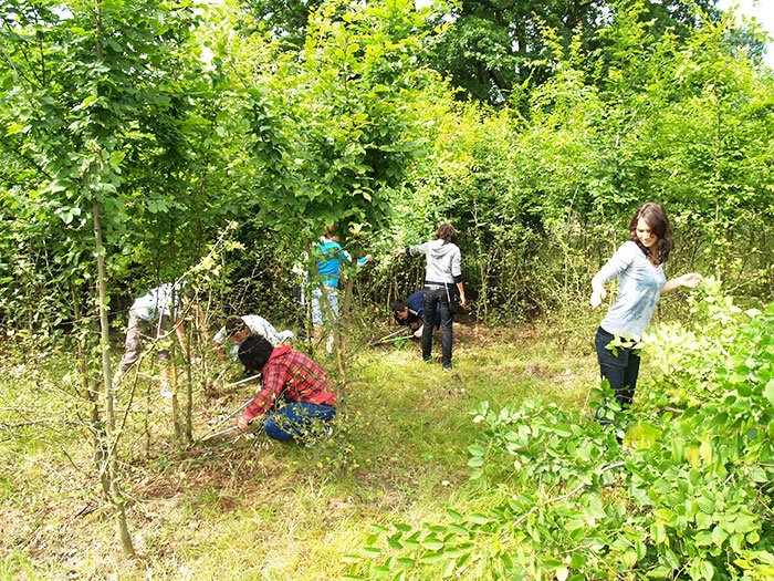 Învăţământul profesional va fi revigorat 110466