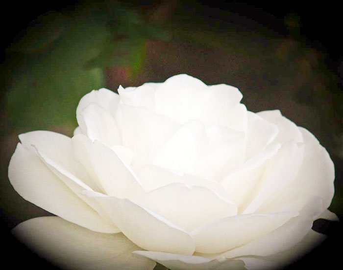 Fecioria, virtute uitată în modernitate 110481