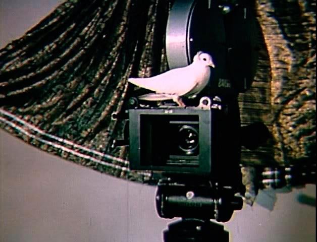 Nunta, Raiul şi drumul Crucii 110757