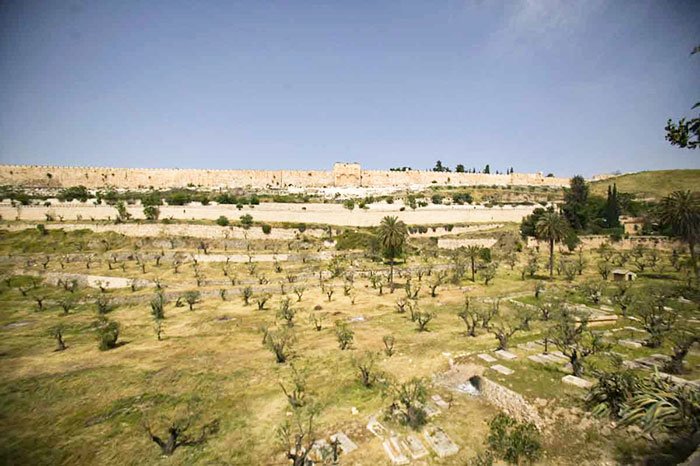 Ciudatul caz al cumpărării unei ţarini 111076