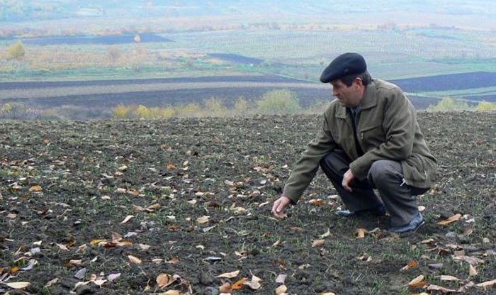 Va fi un an normal pentru agricultură 111084