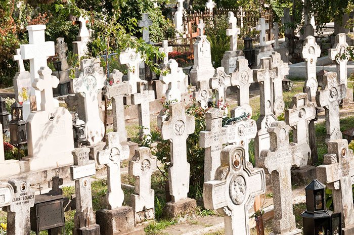 Înfiinţarea Sectorului Cimitire, monumente şi servicii funerare 91440