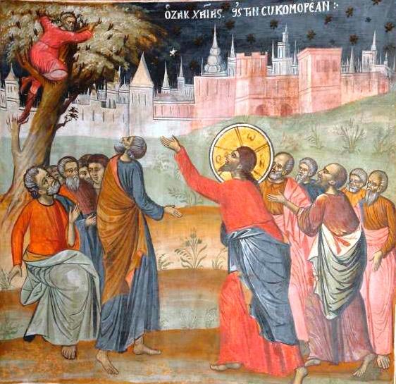 Iubirea a născut iubire 91600