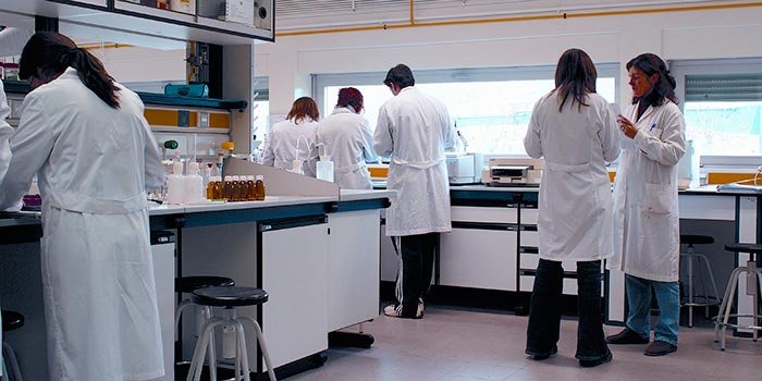 O bacterie ar putea încetini procesul de îmbătrânire 91598