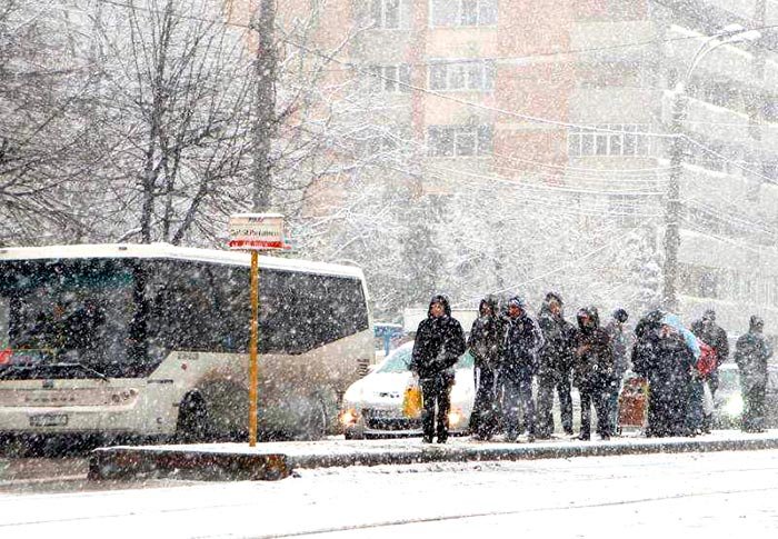 Cod portocaliu de ninsori şi viscol 91670