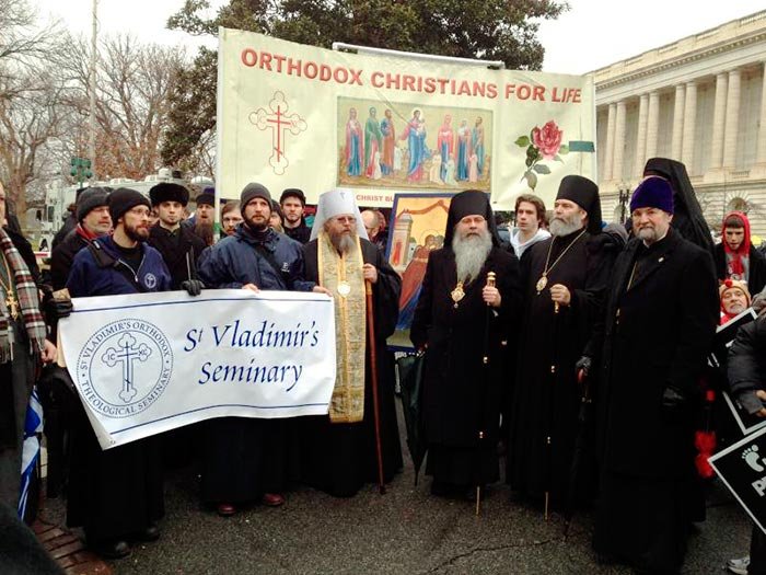 Marş anual pentru darul vieţii la Washington 91693