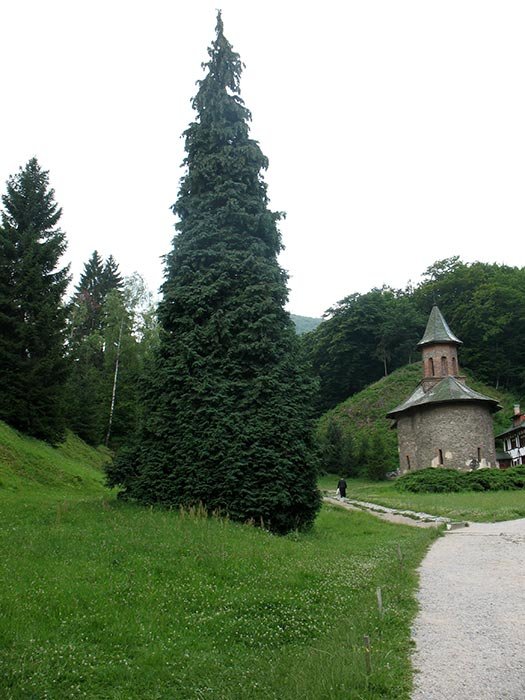 În căutarea unităţii 92011