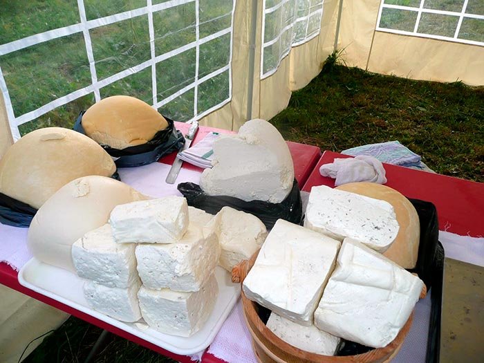 Evaziunea fiscală în agricultură, în vizor 92124