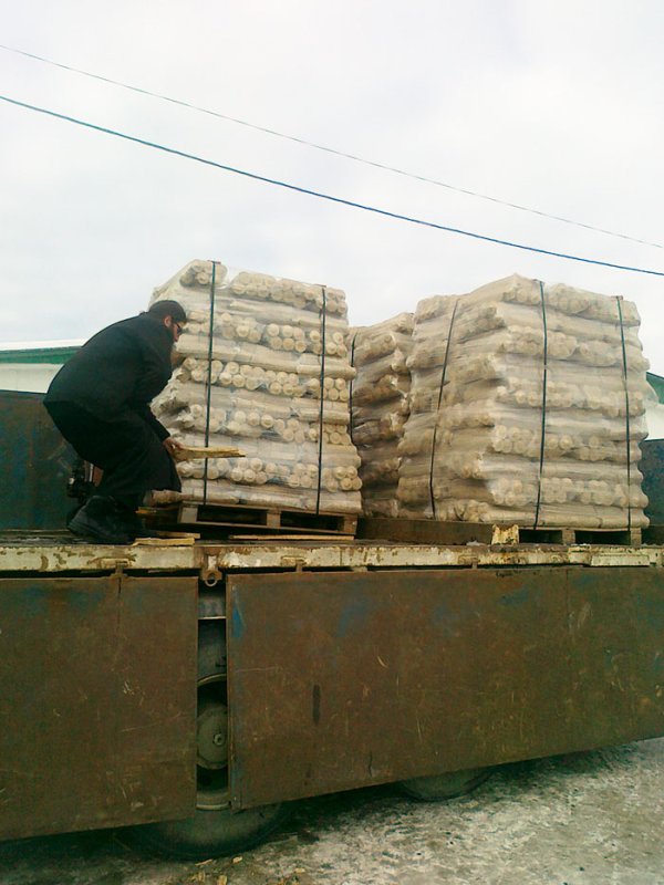 Acţiuni filantropice pentru sinistraţii din judeţul Buzău 92268