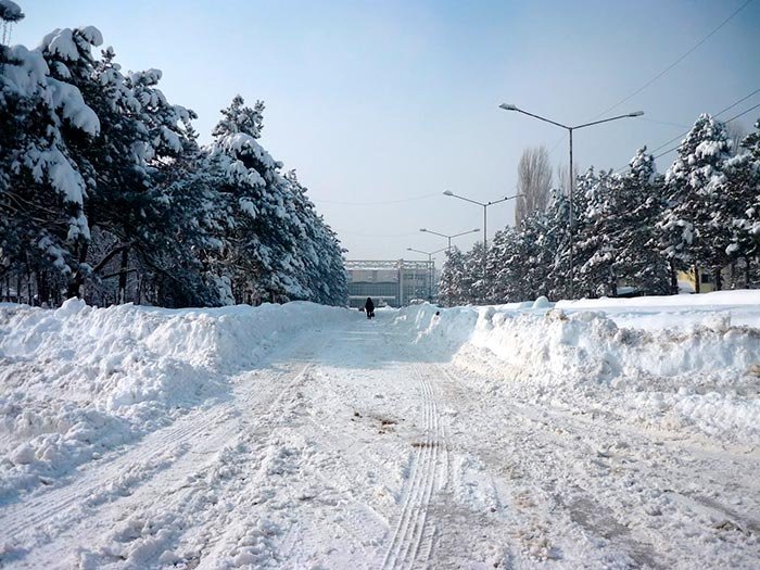 Disciplina spaţiului comun 92367