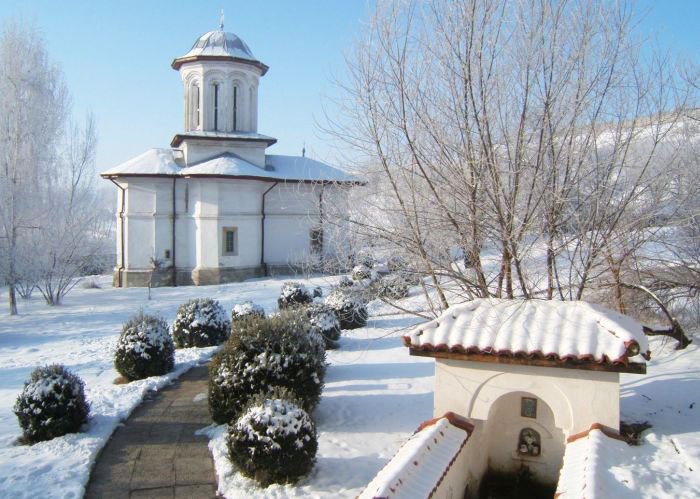 Sesiune de formare „Alege şcoala!“ la Brâncoveni 92565