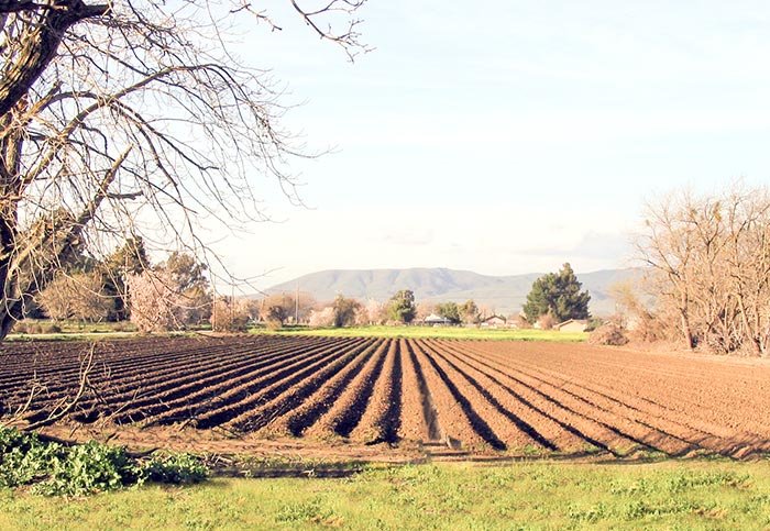 Start bun pentru culturile de primăvară 92619