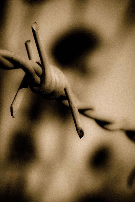 Durerea noastră cea de toate zilele 92650