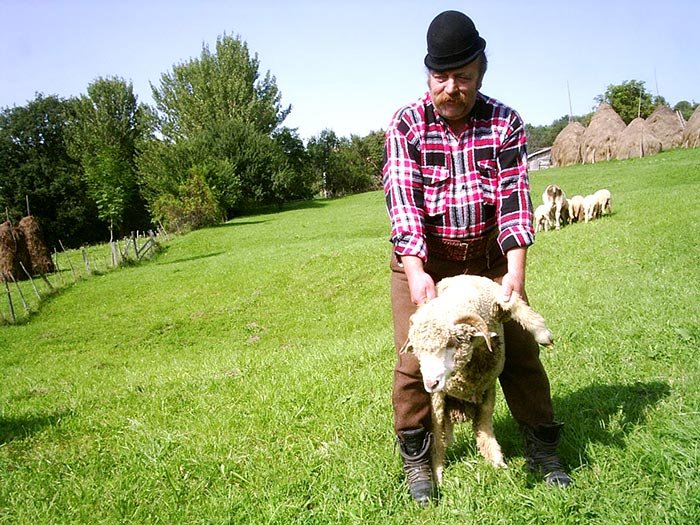 Germanii preferă mieii româneşti 92953