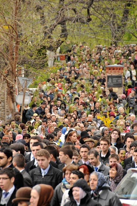În întâmpinarea lui Hristos la porţile Ierusalimului 93016