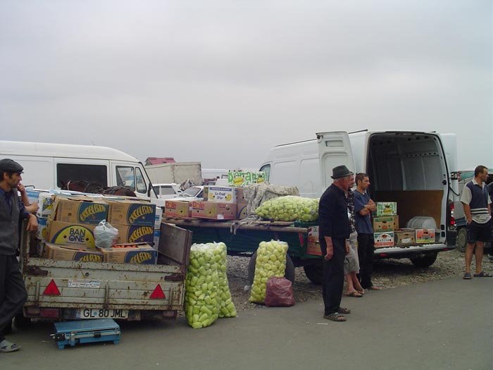 „Nici un supermarket nu cumpără cu sacoşa“ 93021