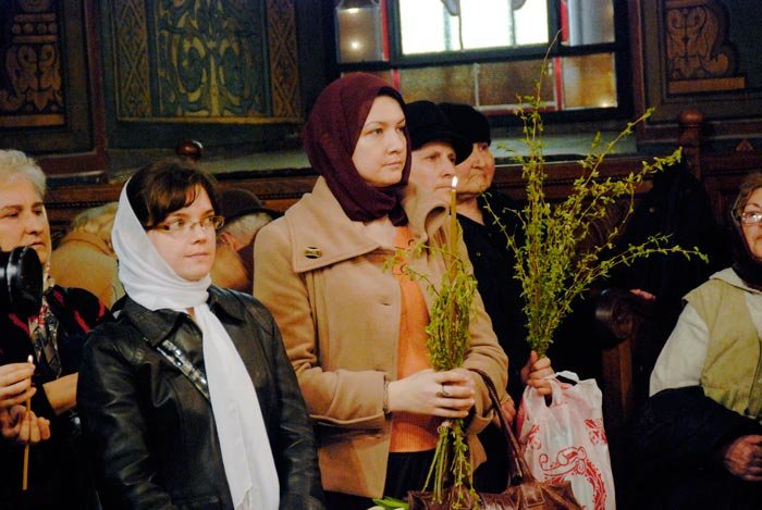 Ramurile verzi şi ramurile înţelegătoare 93020