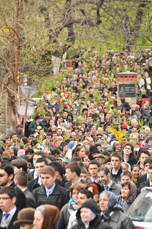 Flori pentru eternitate 93045