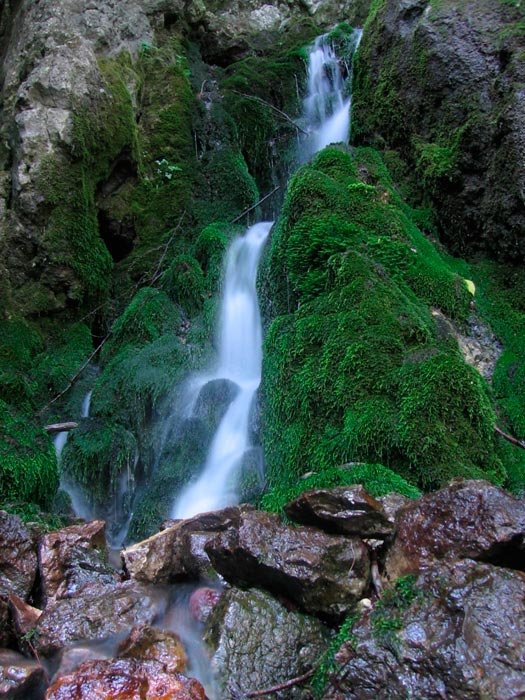 Când Izvorul devine sete 93432